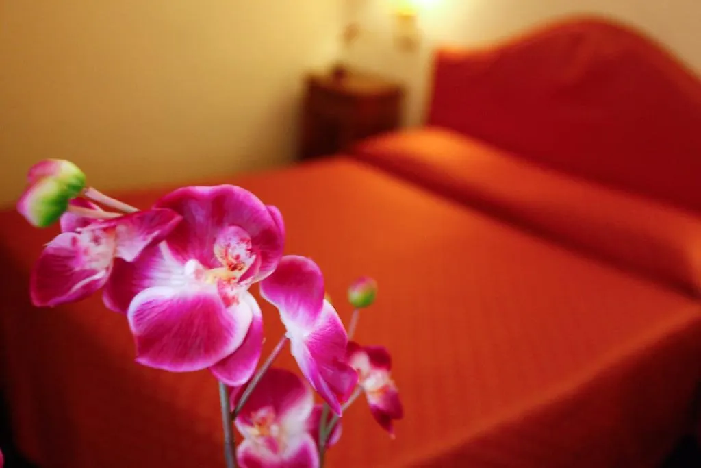 ** Guest house Casa De Fiori Apartments Rome Italy